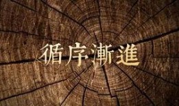 陈厚酒馆最新爆料,酒香四溢背后的惊人真相